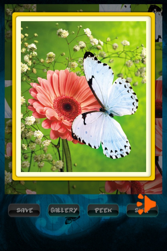 Butterfly Jigsaw screenshot 3