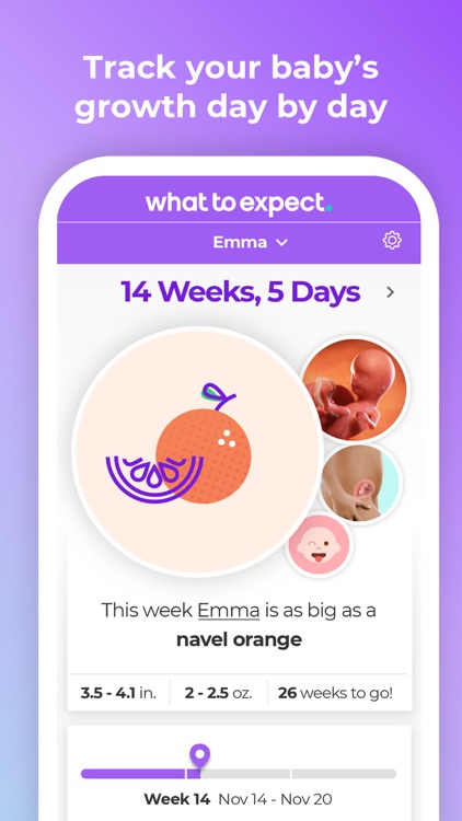 What to Expect Pregnancy+Baby screenshot-0