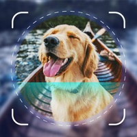  Dog Scanner - Puppy ID Alternatives