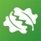An interactive British tree identification app from the Woodland Trust, the UK’s largest woodland conservation charity