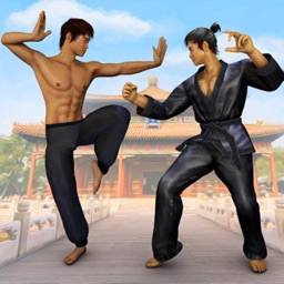 Karate Kung Fu Street Fighting