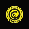 FC Cascavel