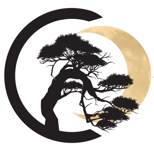 Get Kanzen Games for iOS, iPhone, iPad Aso Report