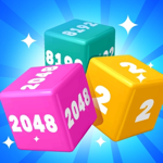 Project 2048