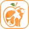 Aljahz app allows you to get fresh food, such as birds, sheep, vegetables and fruits