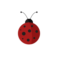 insect-rnapp