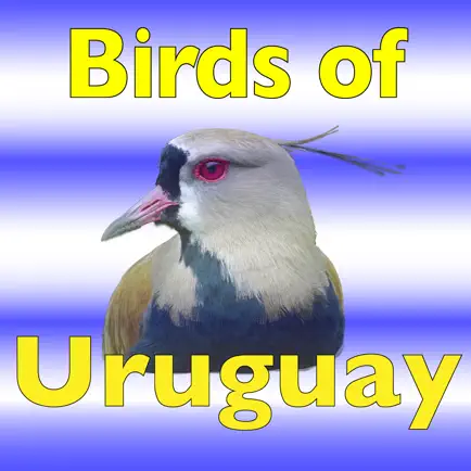 The Birds of Uruguay Читы