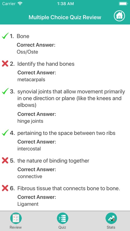 Skeletal System Medical Terms screenshot-3