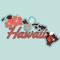 Icon Hawaii Travel Guide ..