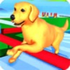 Epic Dog Fun Run Race 3D