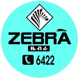 Zebra Taxi Passenger