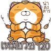 Lan Lan Cat 20 (Thailand)