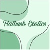 Flatbush Exotics