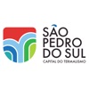 São Pedro do Sul Município