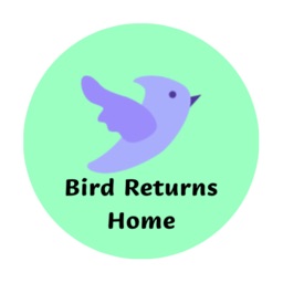 BirdReturnsHome