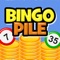 Have Piles of BINGO Fun with 10,000 BINGO Levels