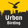 URBAN BIRDING