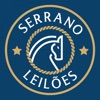 Leilões Serrano Equinos