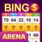 Bingo Arena is a skill based and and real cash prizes bingo game