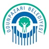 Tarihi Odunpazarı