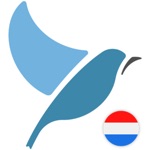 Bluebird Learn Dutch