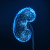 Encontro Renal App