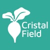 Cristal Field