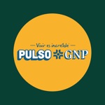 Pulso GNP