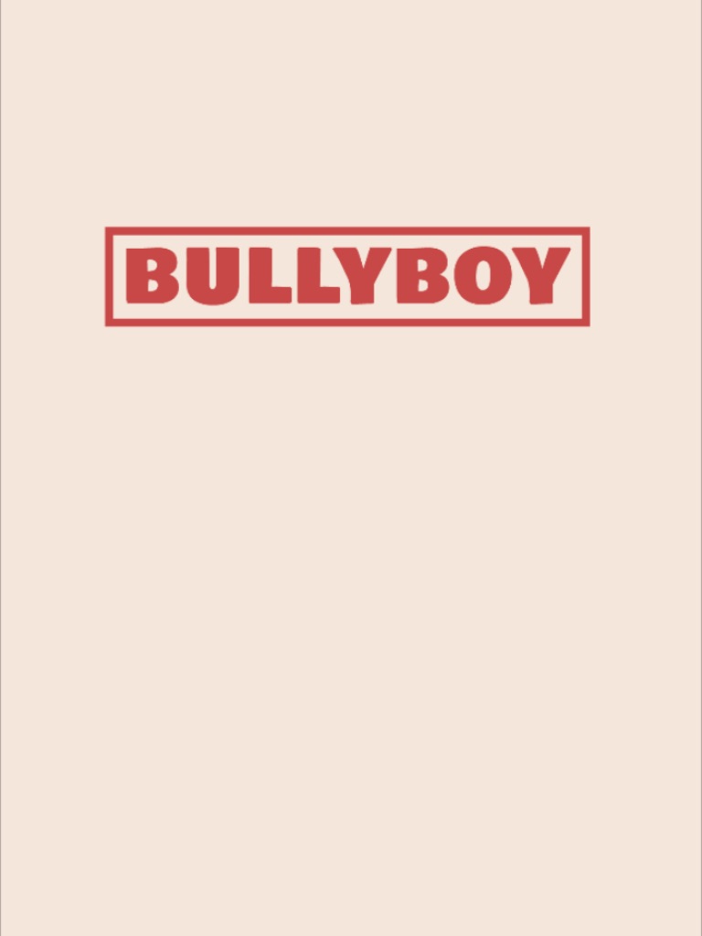 Bullybox screenshot 4