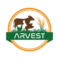 Arvest Ug
