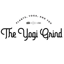 the yogi grind