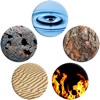 Five Elements Qigong