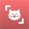 Icon Cat Scanner