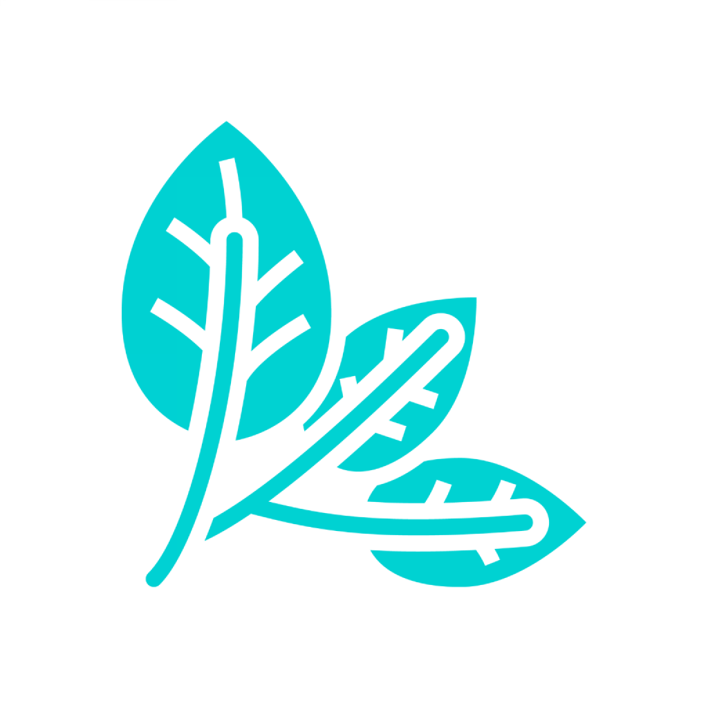 Get VeGyGy - Vegan recipes for iOS, iPhone, iPad Aso Report