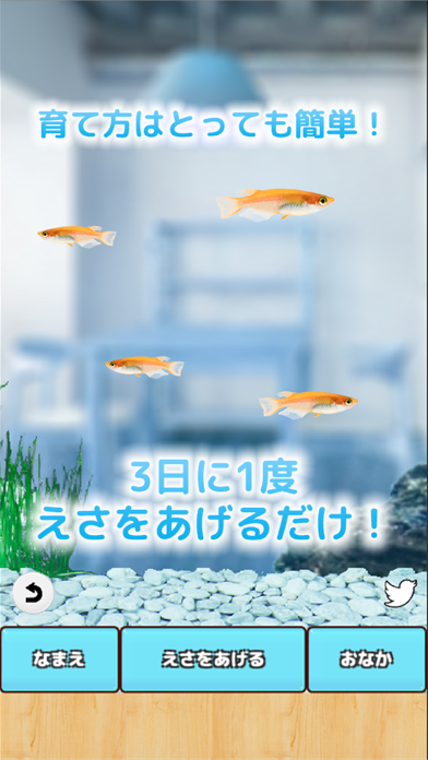 まったりメダカ育成ゲーム screenshot1