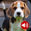 Dog Sounds Ringtones