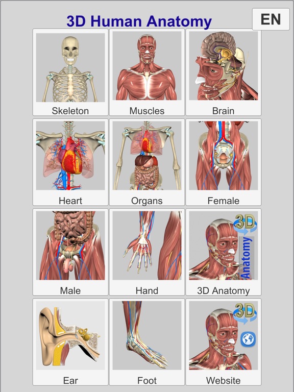 3D Anatomy Learning screenshot 3