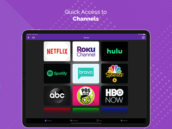 iPad Image of TV Remote - Universal Control