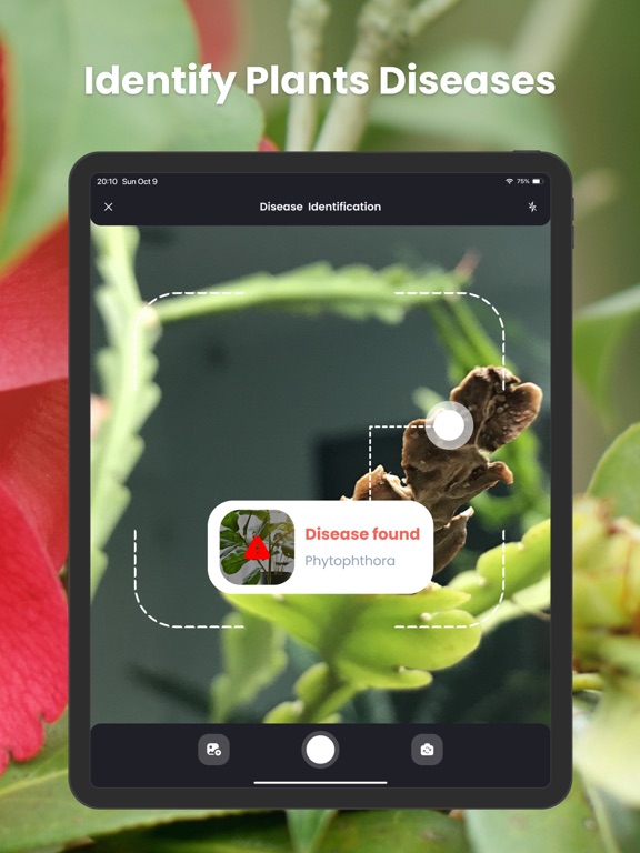 PlantIn: Plant Identifier screenshot 3