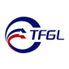 TFGL电子铅封