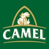 Camel Store