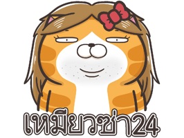 Lan Lan Cat 24 (Thailand)