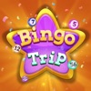 Bingo Trip -  Big Win
