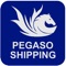 Con la App de Pegaso Shipping podrás realizar el seguimiento de envíos en tiempo real, podrás ver el estado de los paquetes, y los detalles del mismo como peso, remitente y también la imagen real del paquete