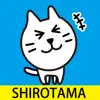 SHIROTAMA Cat 3 Sticker App Feedback