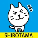 SHIROTAMA Cat 3 Sticker App Contact