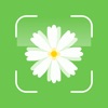 Plant identifier - BotanID