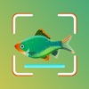 Fish ID - Fish Identifier