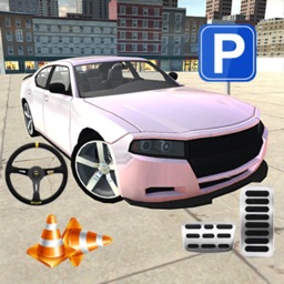 City Car Parking 3D Master