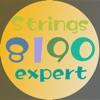 8190 Odborník na struny